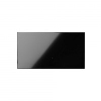Simon 100 Черный глянец Клавиша двухполюсного выключателя 10000133-138 фото