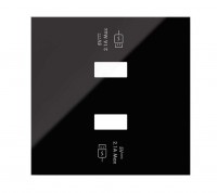Simon 100 Черный глянец Накладка для 2-х зарядных устройств USB SmartCharge 10001196-138 фото