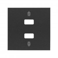 Simon 100 Черный матовый Накладка для зарядного устройства 2хUSB 10001096-238 фото