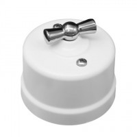 Bironi Лизетта пластик белый выключатель проходной 1-клавишный, ручка серебро B1-201-21-S фото