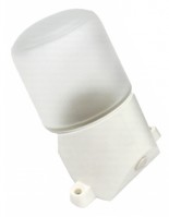 ЭРА НББ 01-60-002 Светильник для бани пласт/стекло, наклон IP65 E27 max 60Вт 158х116х85 белый Б0048407 фото