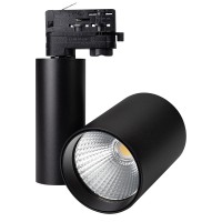 Arlight Светильник LGD-SHOP-4TR-R100-40W Cool SP7500-Fish (BK, 24 deg) 026291 фото