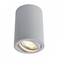 Arte Lamp SENTRY Потолочные светильники A1560PL-1GY A1560PL-1GY фото
