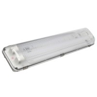 Белый свет Аварийный светильник BS-ZENIT-10-L2-LED a22339 фото