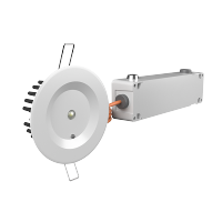 Белый свет Аварийный светильник BS-ARUNA-81-L3-INEXI3-MSS3 a15338 фото