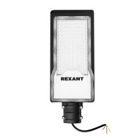 REXANT Светильник светодиодный консольный ДКУ 01-100-5000К-ШС IP65 черный 607-301 фото