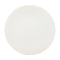 Freya Настенный светильник (бра) Белый FR6002WL-L20W фото