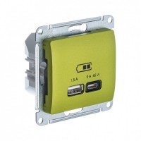 Glossa фисташковый USB розетка A + тип-C 45W высокоскоростная зарядка QC, PD, механизм GSL001029 фото