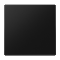 JUNG LS 990 Черный матовый Клавиша 1-ая LS990SWM фото
