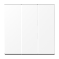JUNG LS 990 Белый матовый Клавиша 3-ая LS993BFWWM фото