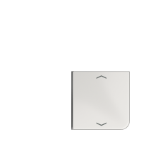 JUNG клавиша с символом для 3 и 4-клавишного пульта KNX, светло-серая, для серии CD (верхняя левая верхняя левая и нижня правая) CD404TSAPLG14 фото