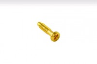 Bironi металл золото винт для силовых, телефонных и компьютерных розеток 10шт/уп B-912-31-10 фото