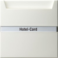 Gira Карточный выключатель с полем для надписи 014040 фото