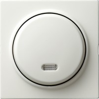 Gira Кнопочный выключатель для малого напряжения до 42 В с подсветкой 015340 фото