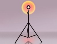 Ambrella Атмосферная светодиодная напольная лампа с пультом DE8387 BK черный LED RGB 3W (ПДУ RGB) DE8387 фото